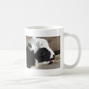 Mug Agneau nouveau-né