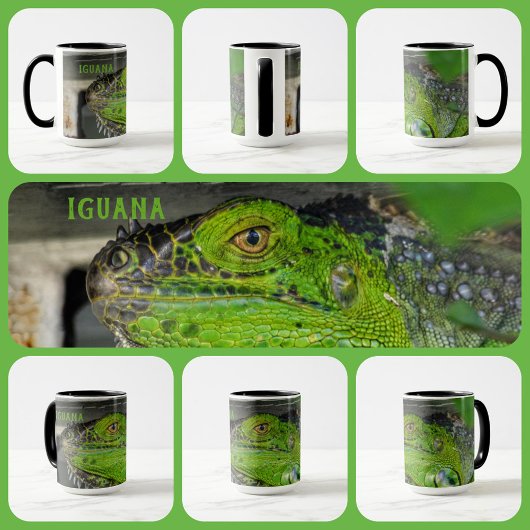 Mug Agrandissement Iguana Vert Photographie personnali
