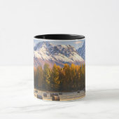Mug Agriculture de l'Alaska (Centre)