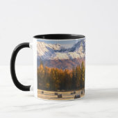 Mug Agriculture de l'Alaska (Gauche)