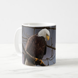 Mug Aigle Bald sous la Pleine lune Faune Nature