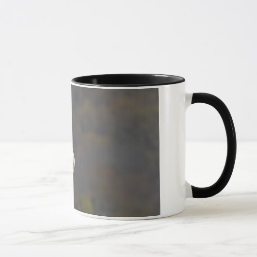 Mug Aigle chauve regardant un poisson (Droite)