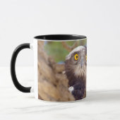 Mug Aigle huppard (Gauche)