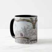 Mug Aigle Lone Dans Le Squale De Neige (Devant gauche)
