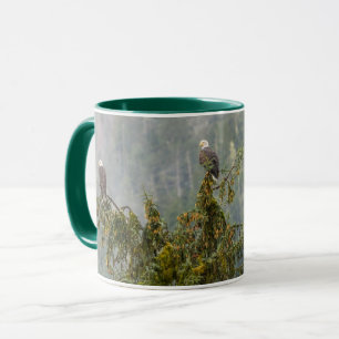Mug Aigles chauds Tongass National Forest Alaska