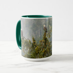 Mug Aigles chauds   Tongass National Forest Alaska