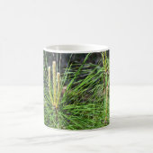Mug Aiguilles de pin par Kenneth Yoncich (Centre)