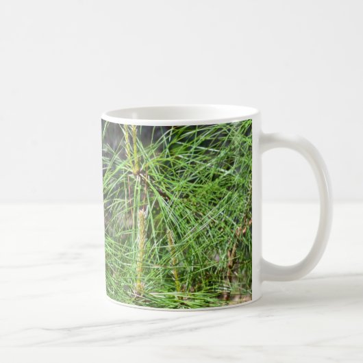 Mug Aiguilles de pin par Kenneth Yoncich (Droite)