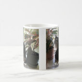 Mug Aimez votre chat avec leurs cures (Centre)