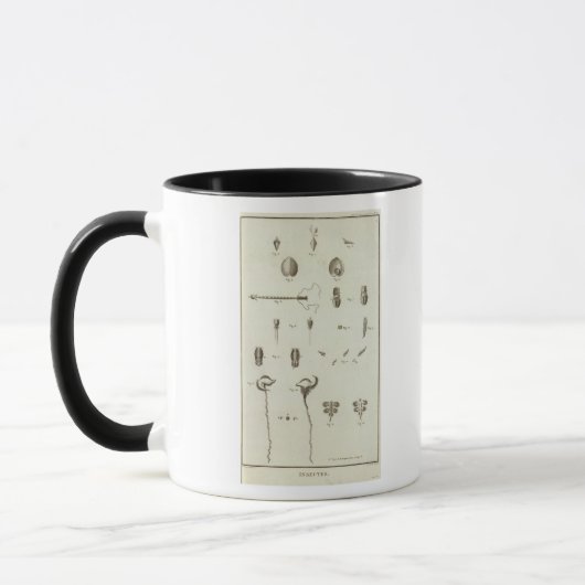 Mug Alaska 3 (Gauche)