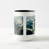 Mug Alaska Mountain Range-Vue aérienne (Centre)