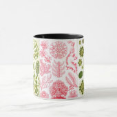Mug algues vertes, diverses, haeckel (Centre)