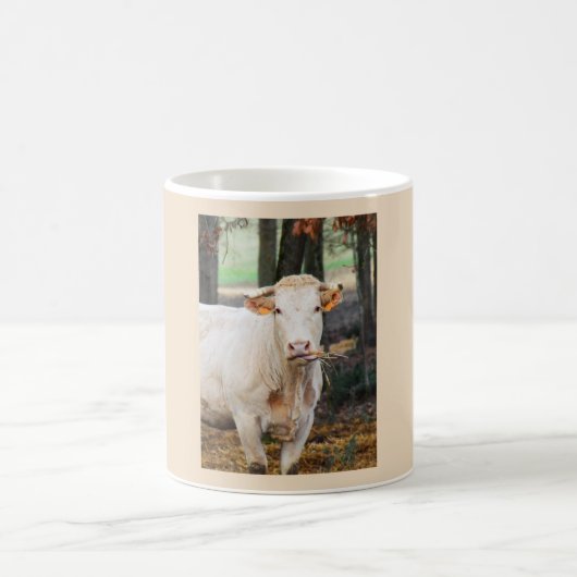 Mug Alimentation de la vache en France (Centre)