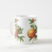 Mug Aliments anciens Fruit, Grenade par Redoute (Devant gauche)