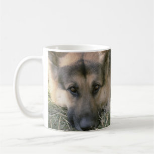 Mug Allemand Shepard