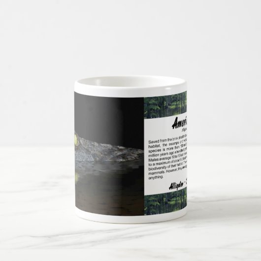 Mug Alligator américain (Centre)