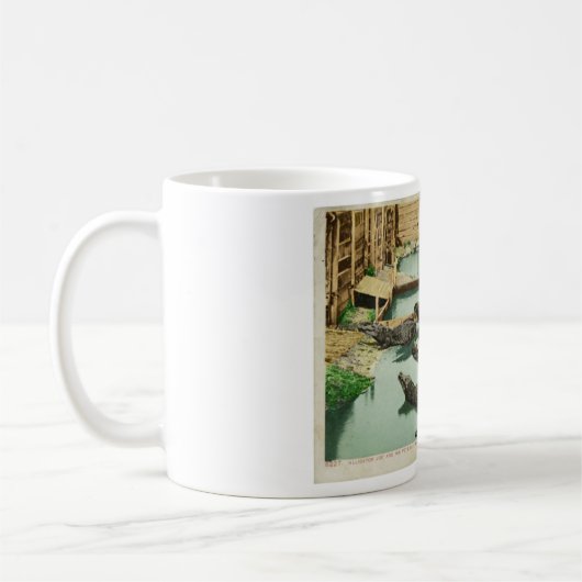 Mug Alligator bébé d'eau Joe (Gauche)