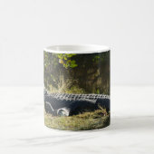 Mug Alligator de Floride sur une rive herbeuse – Marai (Centre)