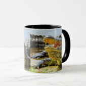 Mug Alligator. Face à face. (Devant droit)
