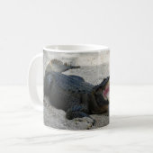 Mug Alligator, Fort Lauderdale, Floride (Devant gauche)