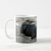 Mug Alligator, Fort Lauderdale, Floride (Gauche)