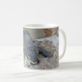 Mug Alligator, Fort Lauderdale, Floride (Devant droit)