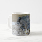 Mug Alligator, Fort Lauderdale, Floride (Devant gauche)