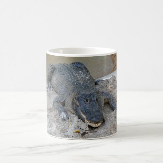 Mug Alligator, Fort Lauderdale, Floride (Centre)