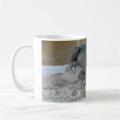 Mug Alligator, Fort Lauderdale, Floride (Gauche)
