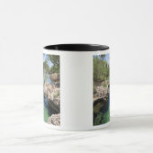 Mug Alligator Hole, Black River Town, Jamaïque (Centre)