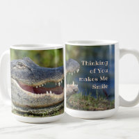 Alligator souriant Grinning Gator Photographie