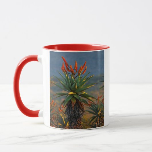 Mug Aloe de montagne (Aloe Marlothii Berger) 2 (Gauche)