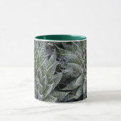 MUG ALOÈS (Centre)