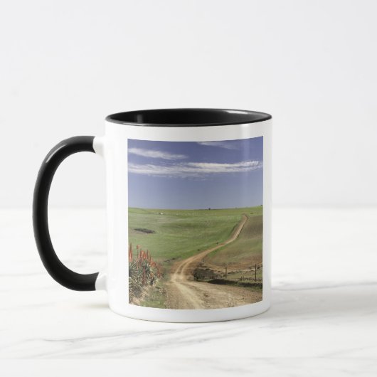 Mug Aloès fleurissant près de Caledon, le (Gauche)