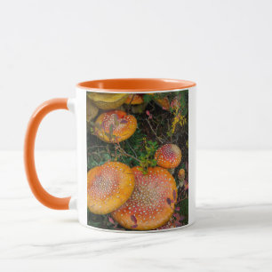 Mug amanites tue-mouches au lac Mowich