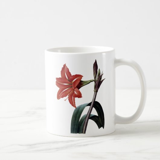 Mug Amaryllis barrée (Droite)