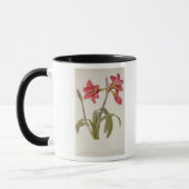 Mug Amaryllis Brasiliensis (Gauche)