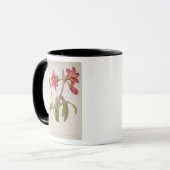 Mug Amaryllis Brasiliensis (Devant gauche)