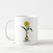 Mug Amaryllis Tulip Jardin Botanique Fleur (Gauche)