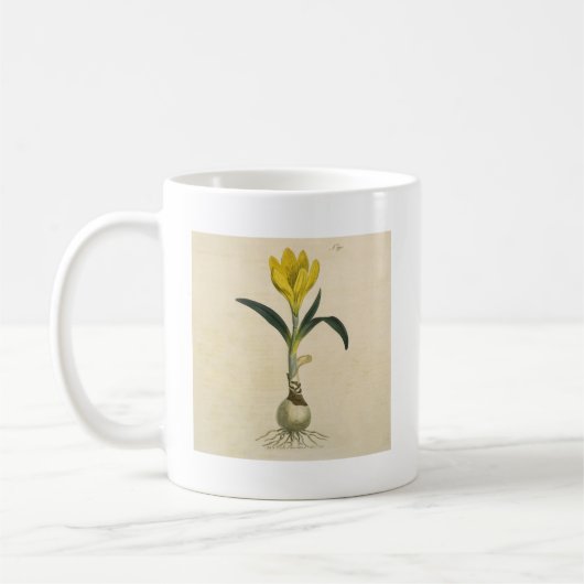 Mug Amaryllis Tulip Jardin Botanique Fleur (Gauche)