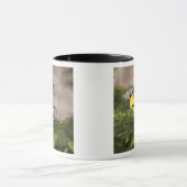 Mug Américain Goldfinch mâle dans un arbre (Centre)