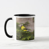 Mug Américain Goldfinch mâle dans un arbre (Gauche)