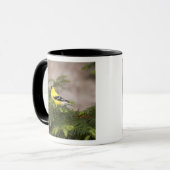Mug Américain Goldfinch mâle dans un arbre (Devant gauche)