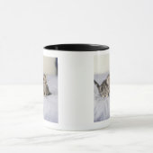 Mug Américain Shorthair 7 (Centre)