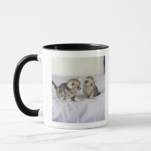 Mug Américain Shorthair 7 (Gauche)