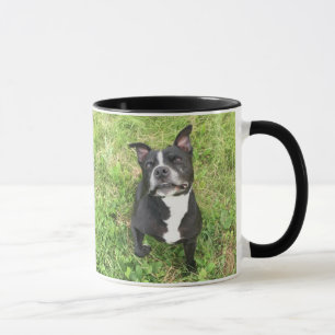 Mug Américain Taureau Terrior