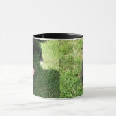 Mug Américain Taureau Terrior (Centre)