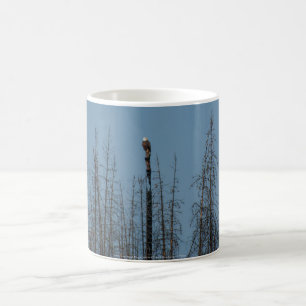 Mug American Bald Eagle 8974
