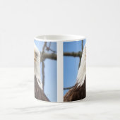 Mug American Bald Eagle Faune amusante (Centre)