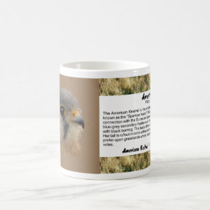 Mug American Kestrel Portrait